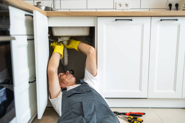 Best Plumbing Services Near Me  in Perry Hall, MD